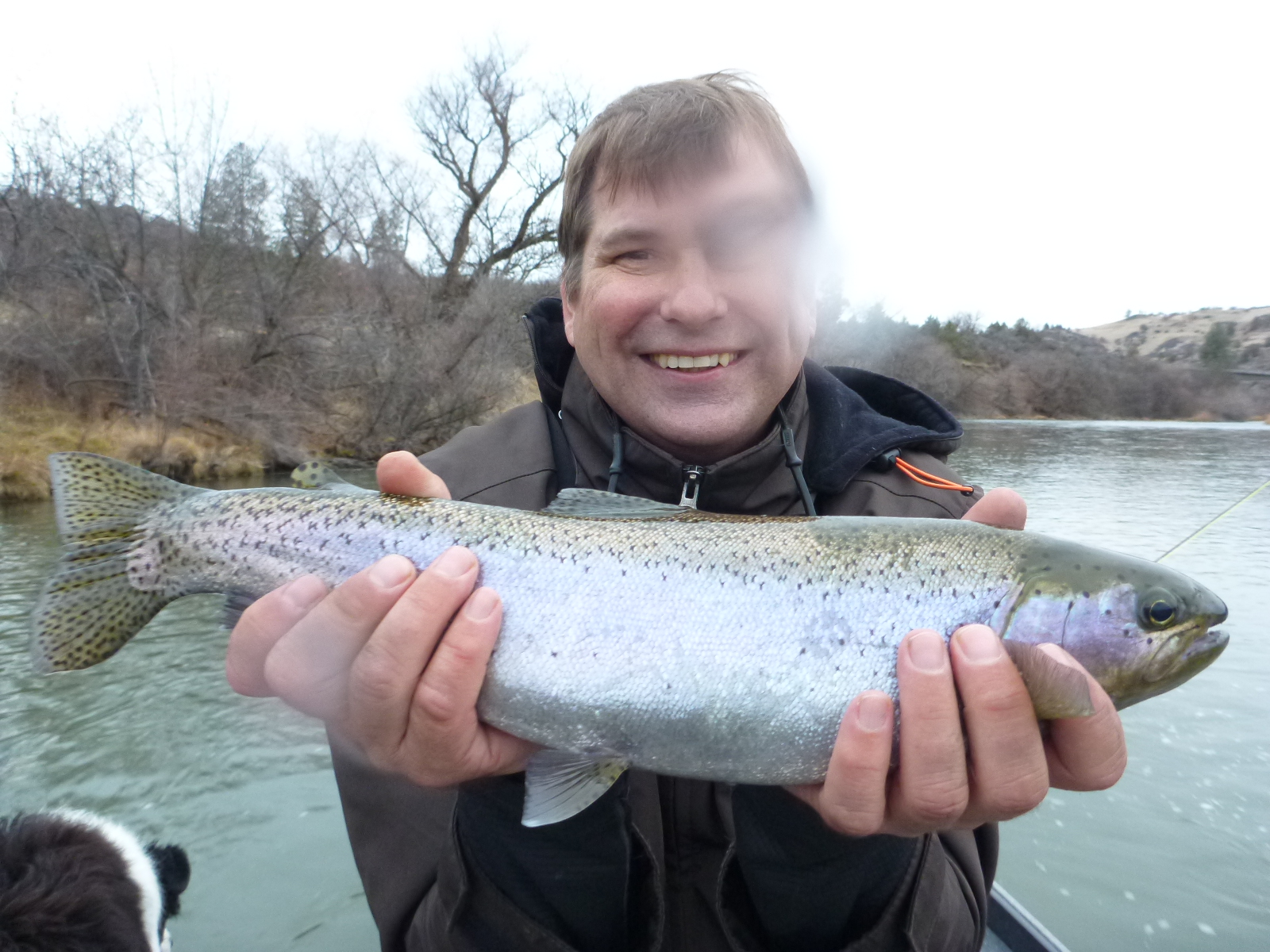 huge argentina brown trout jack trout's weblog