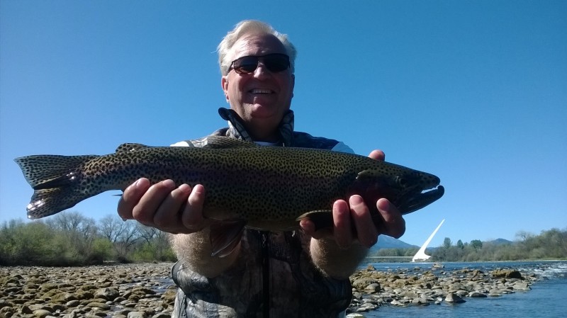 Lower Sac Jack Trout fly fishing