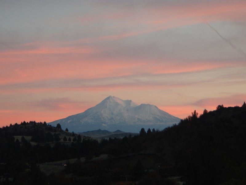 Mount Shasta by Jack Trout 2015