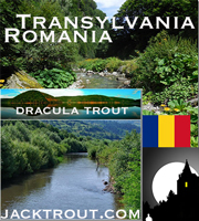 Romania Banner