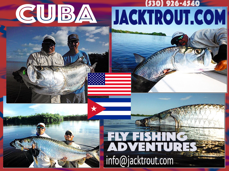 Jack Trout Fly Fishing Cuba