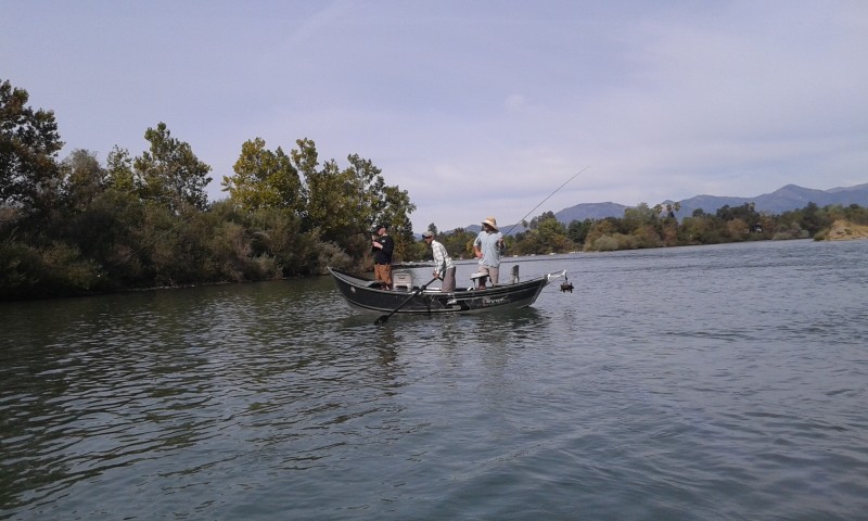 Lower Sacramento River Fishing