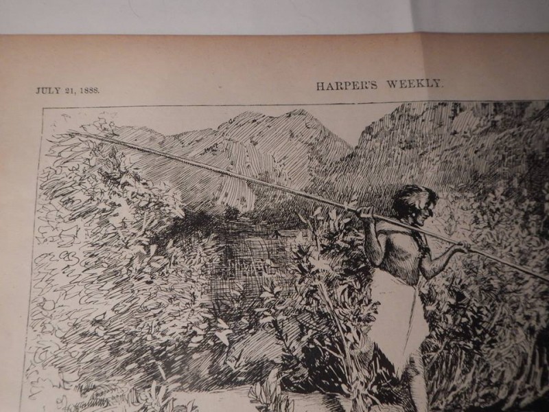 mccloud-harpers-1888-1