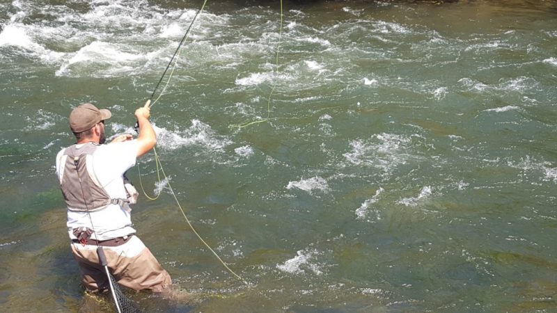 Bay Area Fly Fishing Rivers