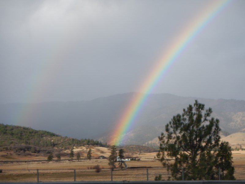 Double Rainbow Shasta