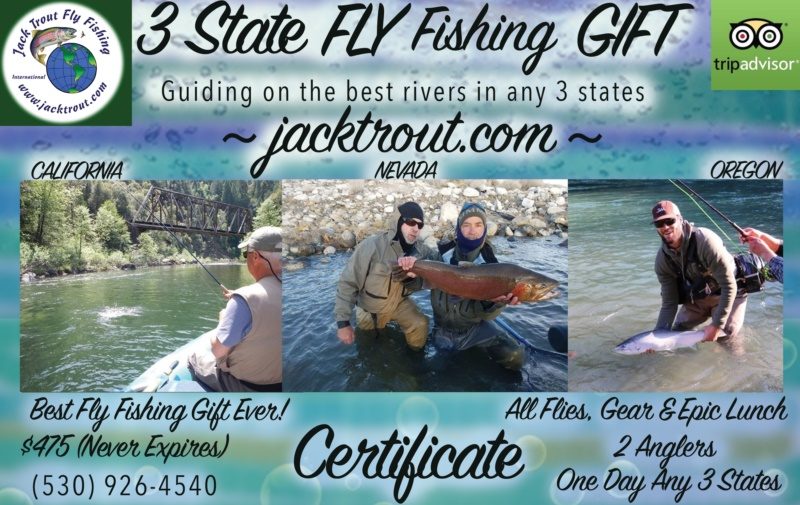 Multi State Fly Fishing