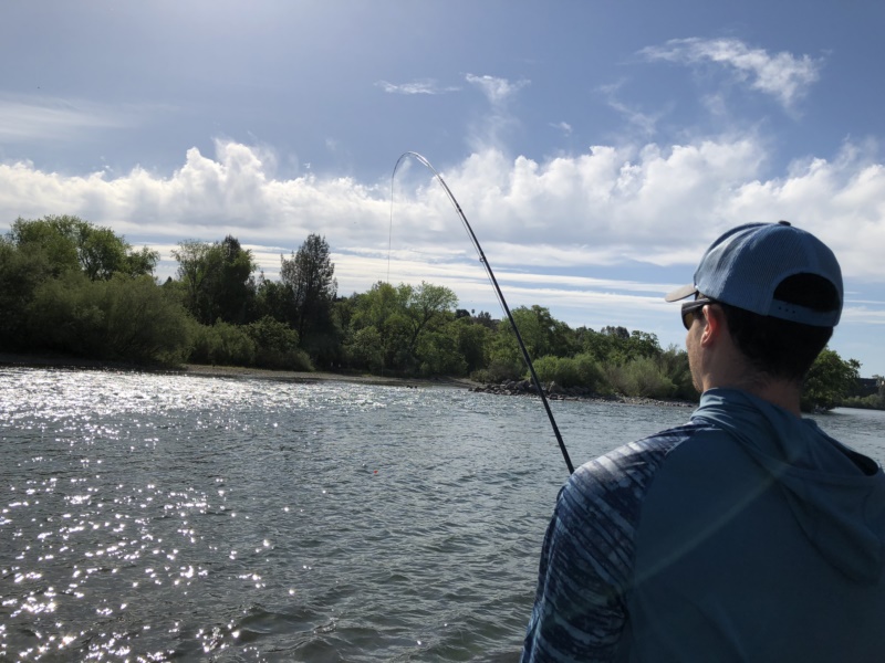 Group trips Lower Sacramento River