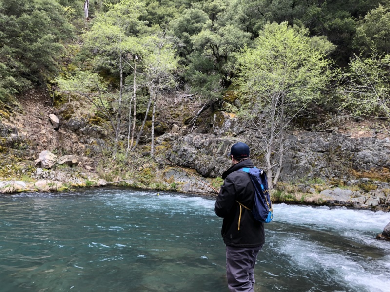 Fly fishing the McCloud river