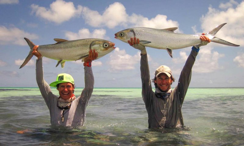 Fly fishing Seychelles