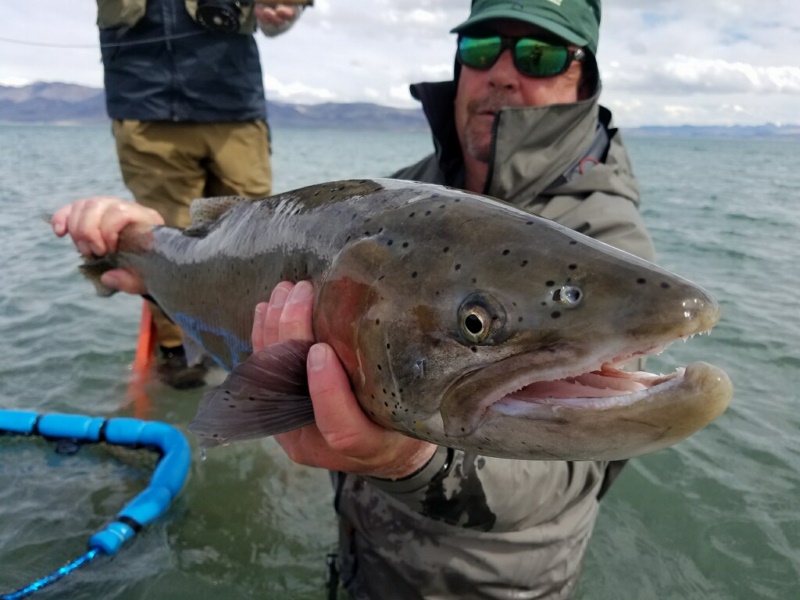 Fly fishing guides Pyramid Lake Nevada