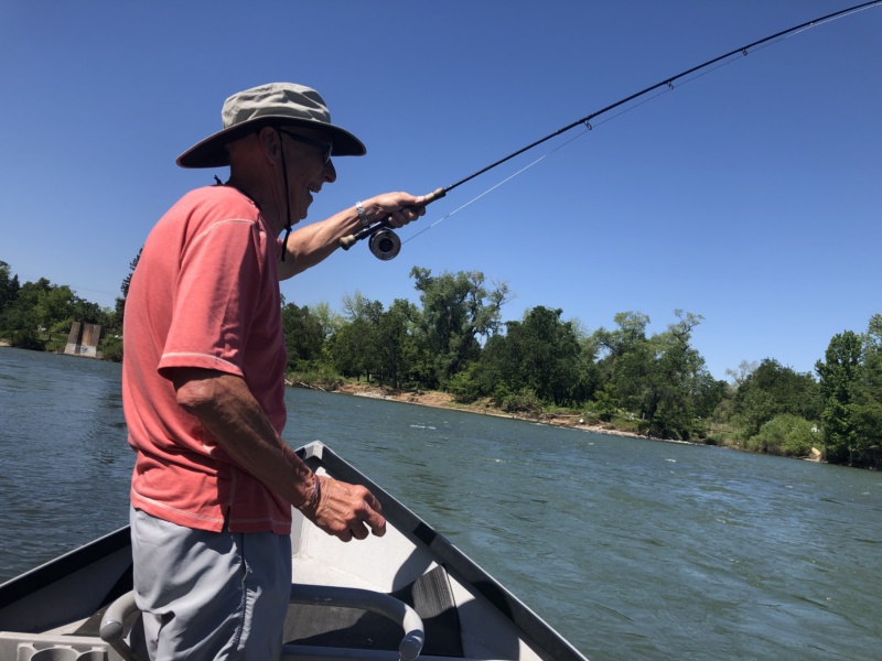 Trout on Lower Sac fly