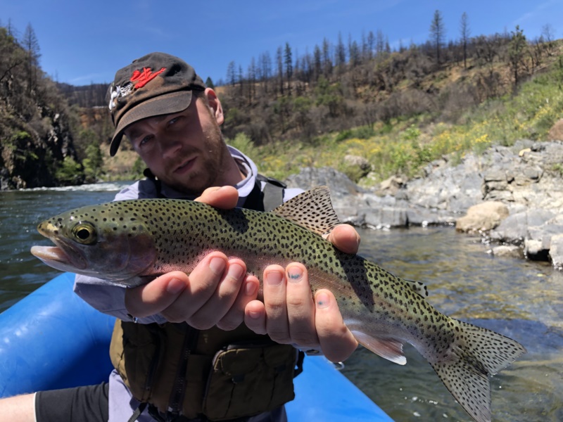 2019 Sacramento River Report June