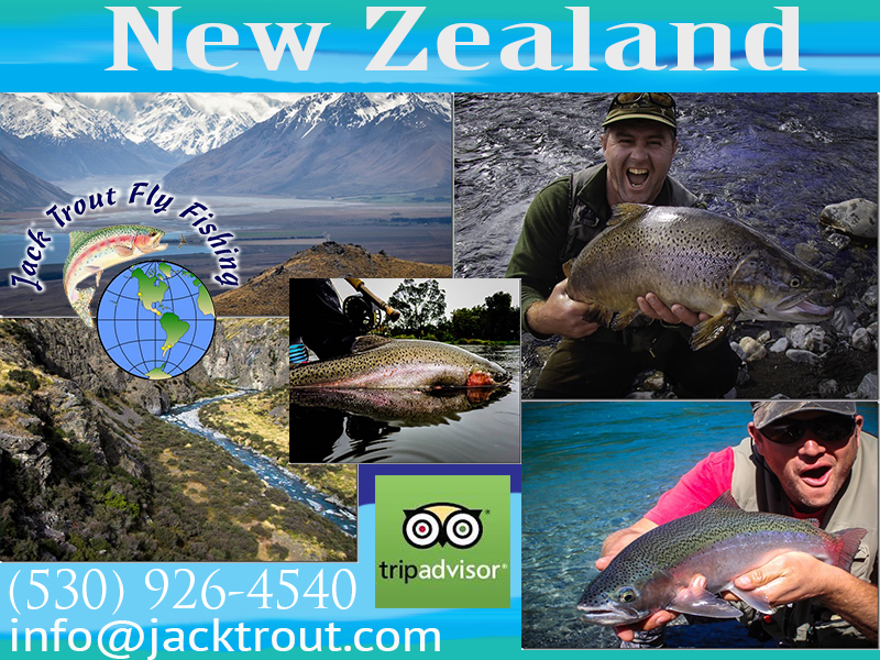 New Zealand Fly Fishing Cruise Trips
