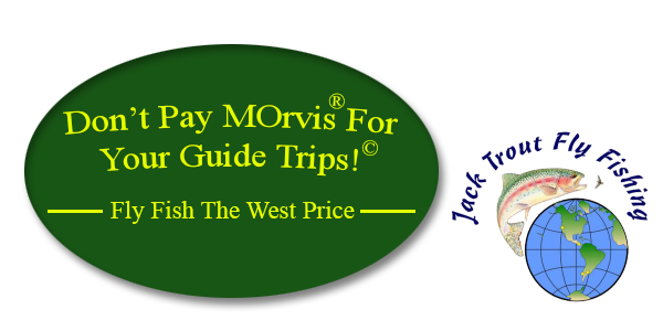 Don't pay Morvis for fly fishing