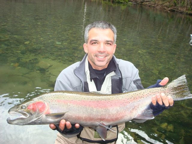 Fly fishing trout trinity river