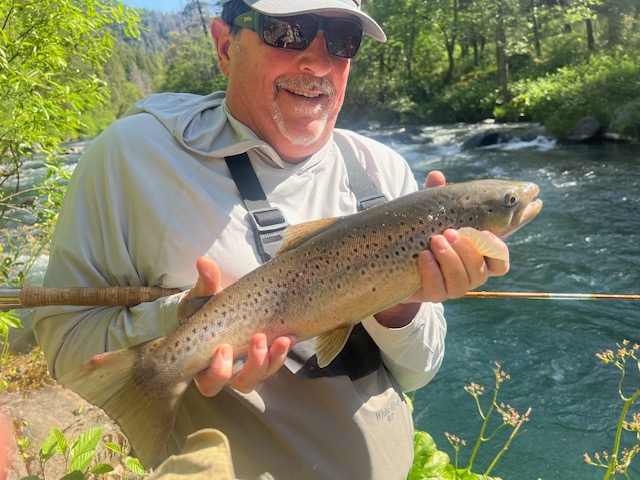 McCloud Brown Trout 2024